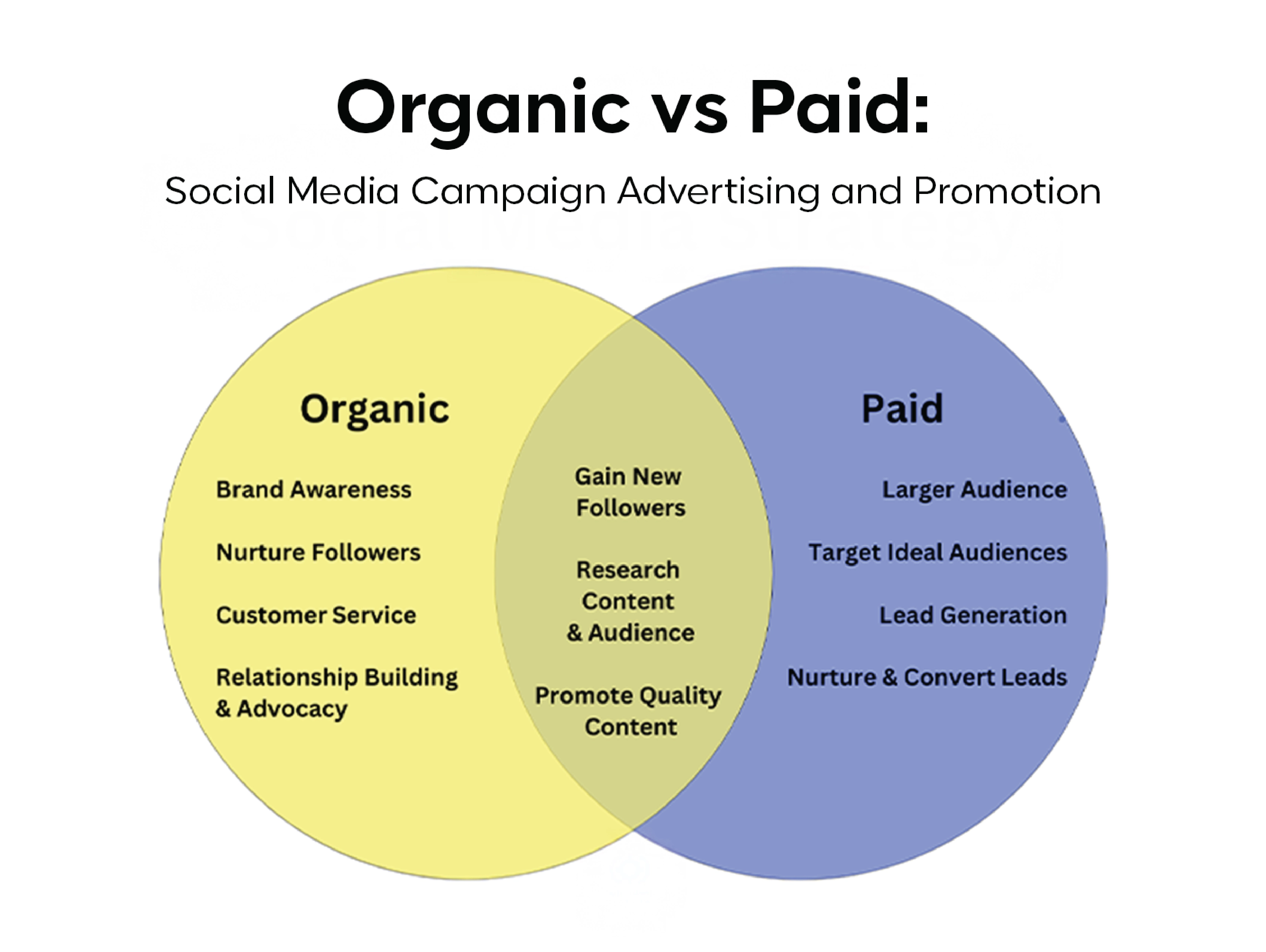 Paid social advertising test plan for a marketing campaign